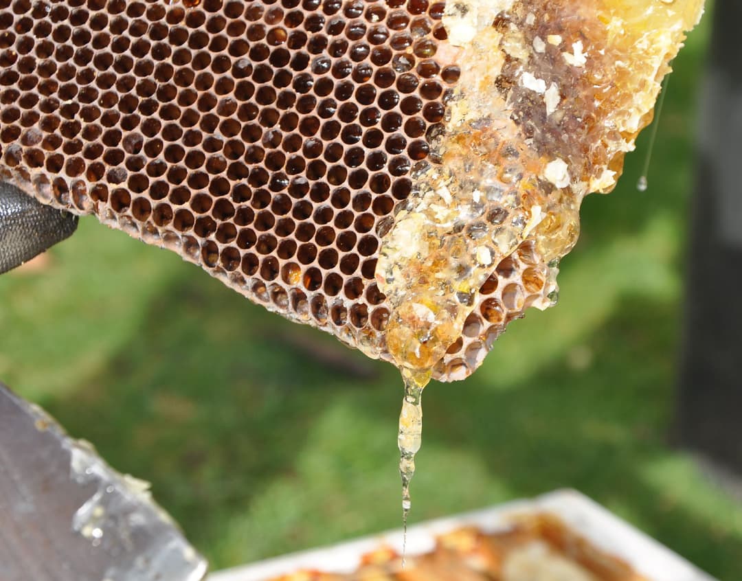 Sampling Point Refinary How Refinery Helps With Sampling Complex Event Data | Honeycomb