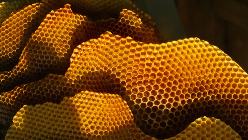 honeycombs that look like graphs