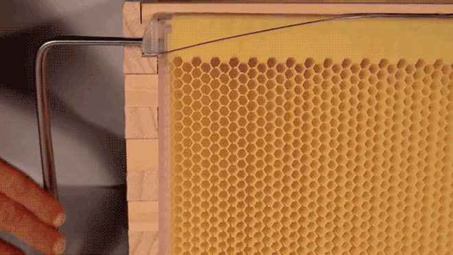 gif of mechanical honeycomb press