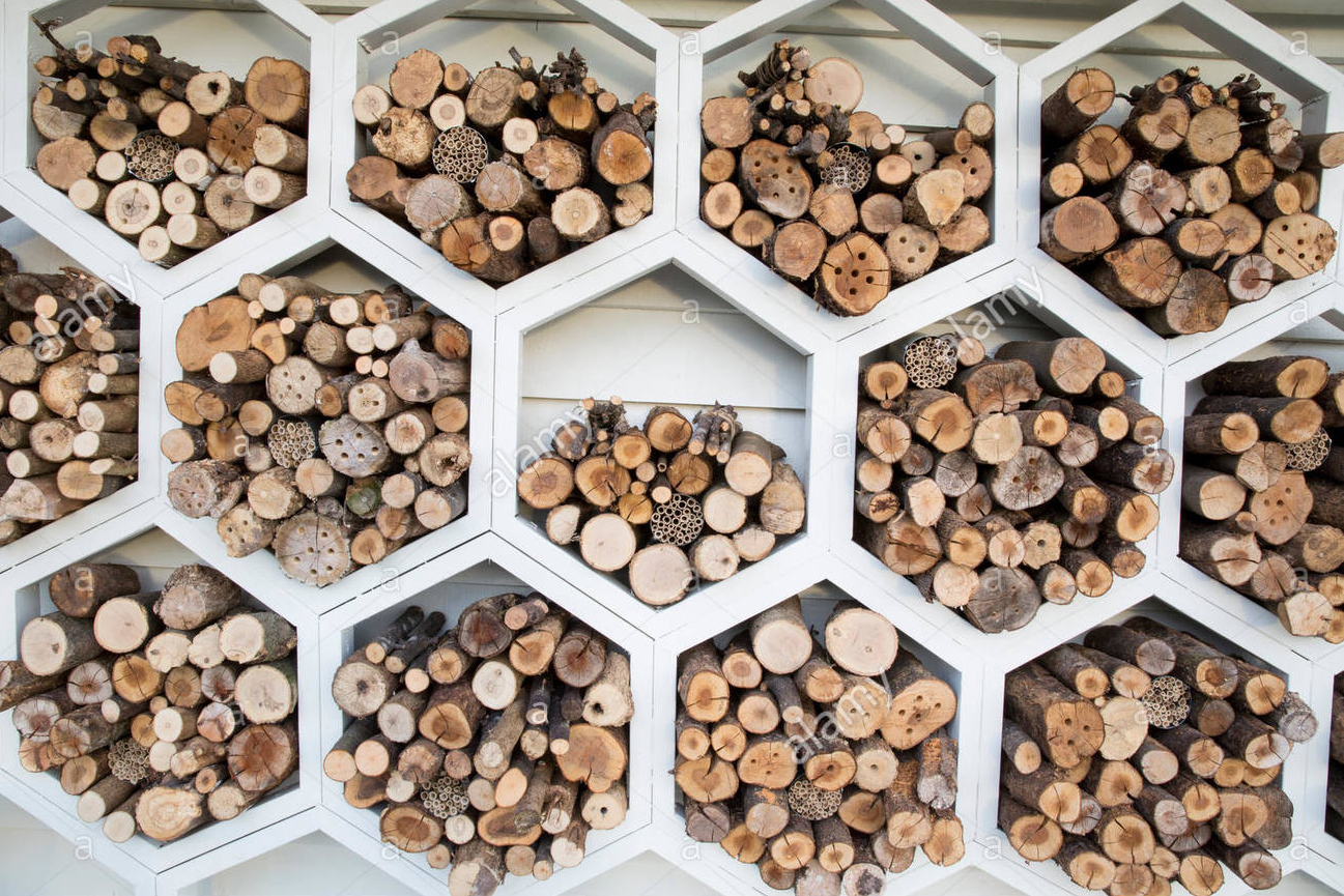 hex-shaped log storage bins