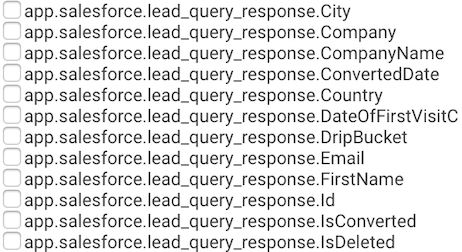 portions of a salesforce API response