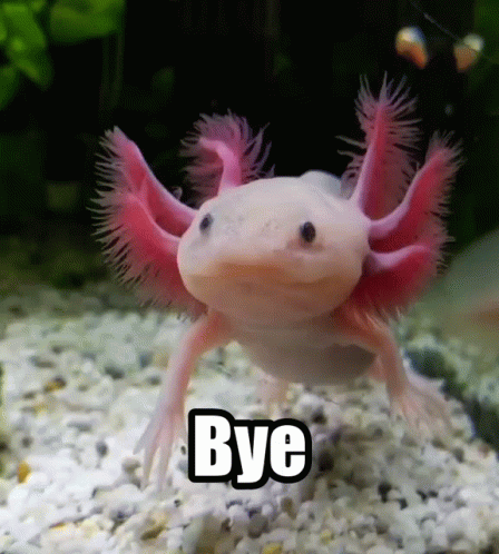 Cute Axolotl Waving Bye